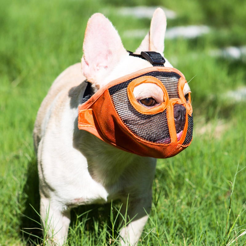 JYHY Short Snout Dog Muzzles- Adjustable Breathable Mesh Bulldog Muzzle for Biting Chewing Licking Grooming Dog Mask,Orange(Eyehole) L - Image 4